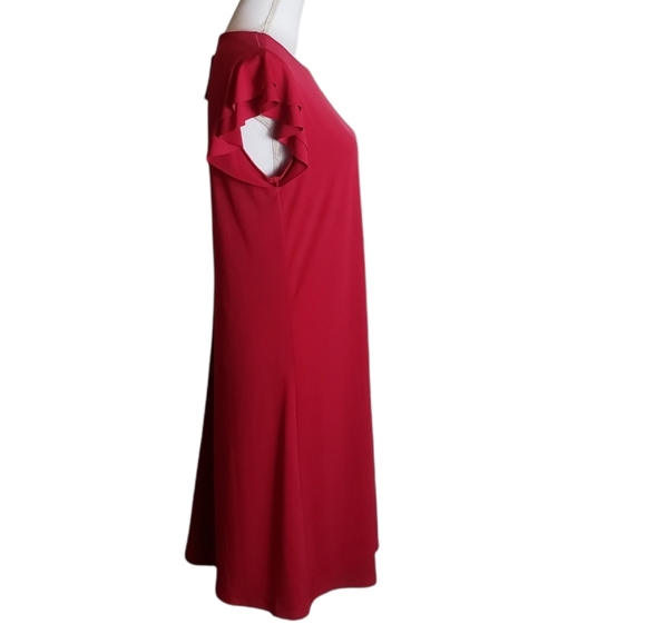 Velvet By Graham & Spencer Raspberry Pink Shift Dress Sz Large Ruffle Sleeve NWT - Picture 3 of 12